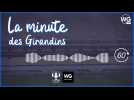La minute des Girondins : mercato avec Josh Maja, Pablo et Diego Rolan