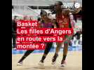 Basket : les filles d'Angers en route vers la montée ?