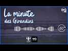 La minute des Girondins : Plan social, Ben Arfa et mercato