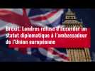 VIDÉO. Londres refuse d'accorder un statut diplomatique à l'ambassadeur de l'UE