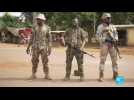 Centrafrique : l'émissaire de l'ONU réclame une 