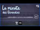 La minute des Girondins : Josh Maja, Luis Florentino, ça s'agite en cette fin de mercato