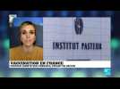 Vaccination en France : l'Institut Pasteur arrête son principal projet de vaccin