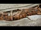 L'occupant du sarcophage d'Arras se dévoile
