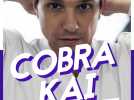 VIDEO LCI PLAY - Cobra Kai : pourquoi cette série fracasse tout