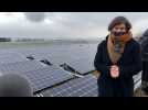 Decathlon rachète l'énergie solaire de ses clients en échange d'un chèque cadeau (ITW Tinne Van der Straeten)