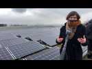 Décathlon rachète l'énergie solaire de ses clients en échange d'un chèque cadeau (Tinne Van der Straeten)