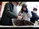 TRUFFES EN A MOUSSOULENS