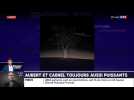 Aubert et Cabrel toujours aussi puissants