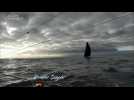 Au coeur du Vendée Globe J37 : cinq skippers naviguent à vue dans l'Océan indien