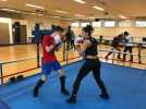 A Dinard, le Campus sport Bretagne s'équipe pour la boxe de haut niveau