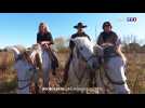 Safari d'automne en Camargue