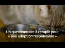 Un questionnaire pour une 