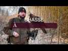 Chasse à l'aigle royal dans l'Aisne