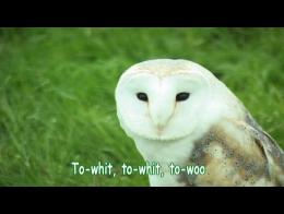 site de rencontre comme twoo