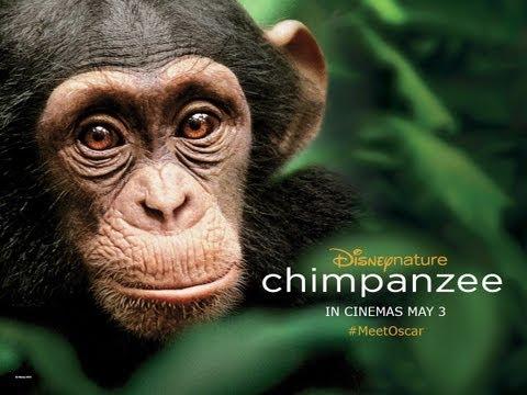 Chimpanzee - UK Trailer - Official Disney | HD