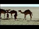 Vents de Sable Femmes de Roc Trailer.mov