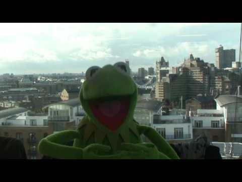 Kermit Answers Twitter about looking young...#AskKermit 26/01/12