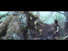 Snow White and the Huntsman Official Movie Trailer 2 [HD] 2012