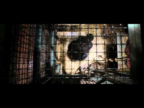 Rise of the Planet of the Apes - International Trailer