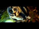 Legend of the Guardians: The Owls Of Ga'Hoole - Twilight Clip