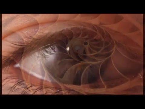 Touch Season 1 (Fox)