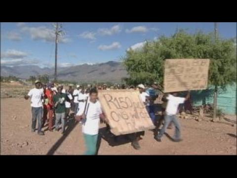 South Africa: Farm workers' fury over low wages
