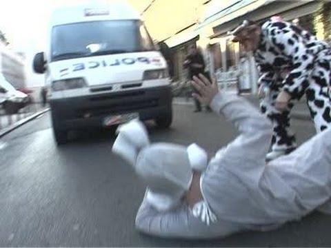 Hidden camera : Horny rabbit & cow gone mad in town !