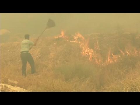 Dozens flee homes as wildfires rage near Athens