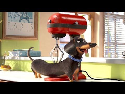 Buddy the Dog - THE SECRET LIFE OF PETS Movie Clip