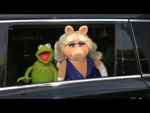 Kermit The Frog And Miss Piggy Are Getting A Divorce