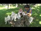White lion and Siberian tiger cubs play with visitors in Crimea safari park