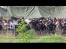 Tear gas and desperation at Hungary migrant camp