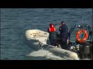 Shark kills scallop diver off Tasmanian coast
