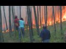 Arson suspected in Portugal forest fires