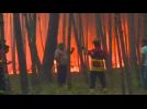 Portuguese firefighters battle forest blaze