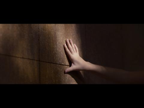 Brie Larson, Megan Park, William H. Macy In 'Room' First Trailer