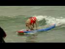 California's doggy surfer dudes