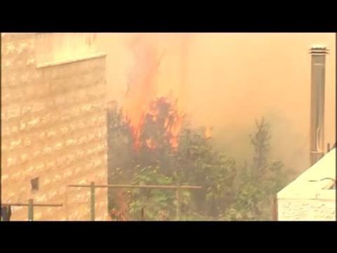 Homes destroyed, evacuations ordered in forest fire near Jerusalem