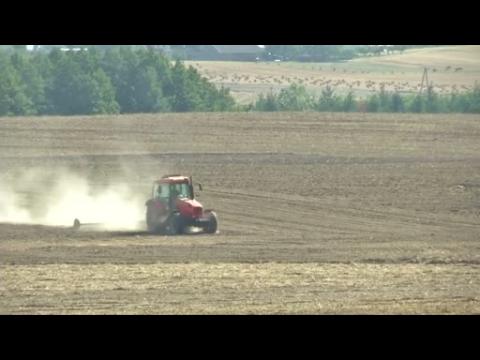 European industries hit by drought