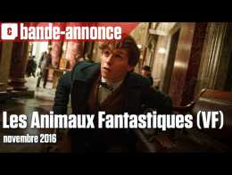 Revue De Presse Les Animaux Fantastiques Tient Ses Promesses