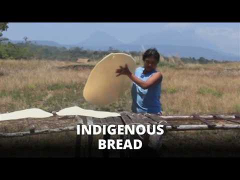 Indigenous Cooking: How to make Casabe bread