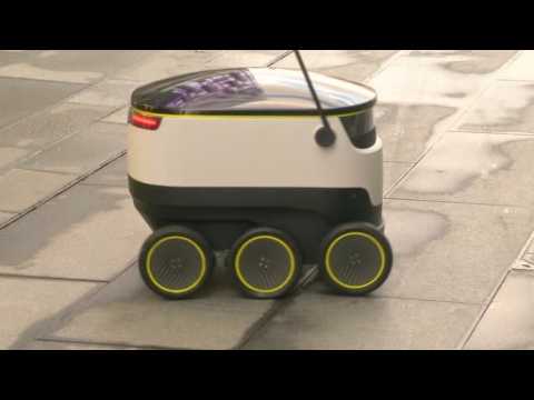 Self-driving delivery robots could be Santa's new helper