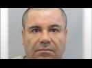'El Chapo' arrested six months after prison escape