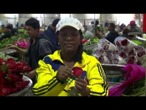 Valentine's bloom for Colombian flowers