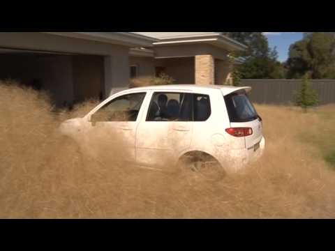 En Australie, une ville est submergée par les herbes sèches