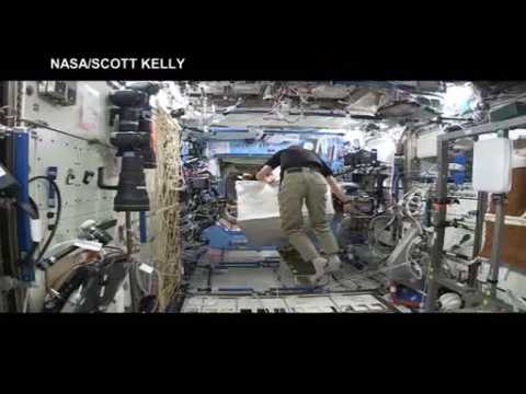 NASA  astronaut Scott Kelly monkeys around on space station