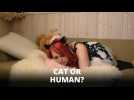 Cat-fused: Born human, feels like a cat