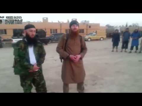 Islamic State's Shishani unhurt - Amaq news agency