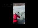 Air boat rescues dog from frozen lake in Utah